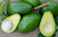 Avocado: perché fa bene?