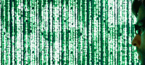 Il cervello umano come supercomputer quantistico