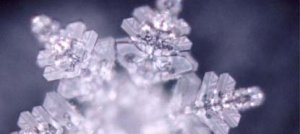 Ricordando Masaru Emoto, pioniere della Memoria dell'acqua