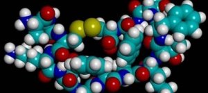 Il Metodo Di Bella funziona, le conferme dalla comunità scientifica che gli è sempre stata ostile